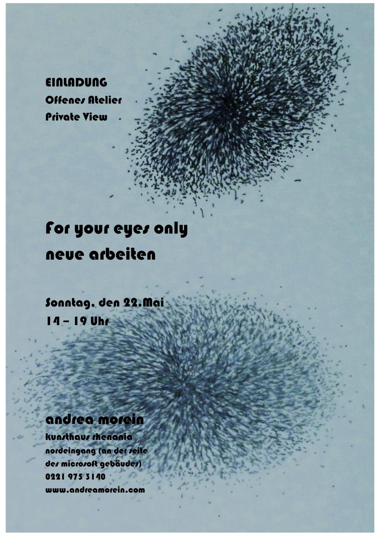 for your eyes only- private view of new work