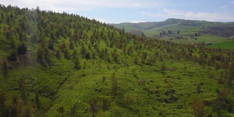 Michele Lombardo_Presentazione sito Michele Lombardo_Presentazione sito