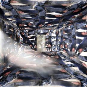 in casa mia entra.....