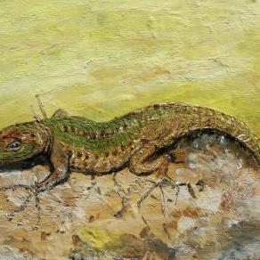 lucertola e passioni