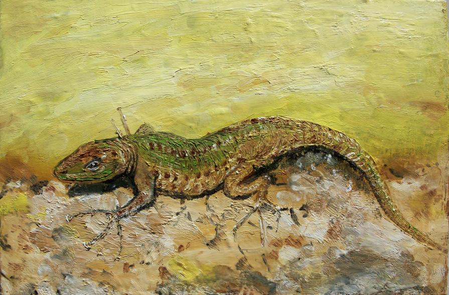 lucertola e passioni