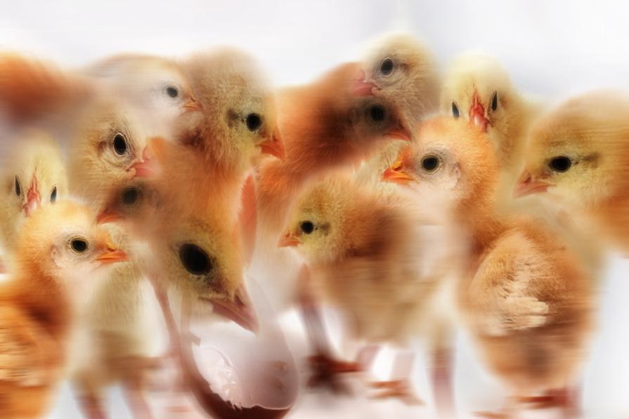 chi fara l'ultima cena..foto di gruppo fermiiiiiiiiii