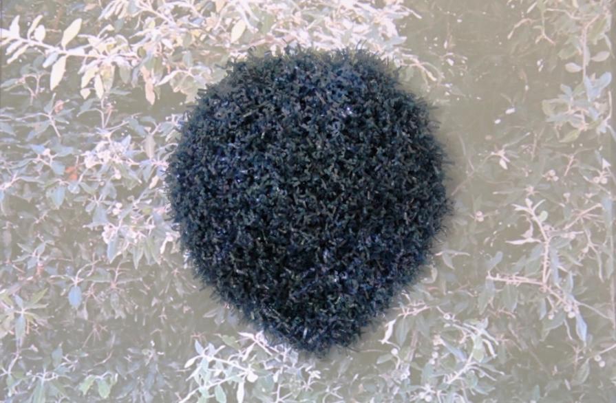 GHILGULGAL REGINA DI VENTO GHILGULGAL REGINA DI VENTO