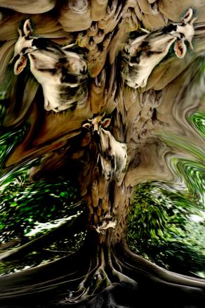 presentato al EXPO 2015 crescono nuovi alberi bio.anche le piante avranno voce.muuuuuuuuu.