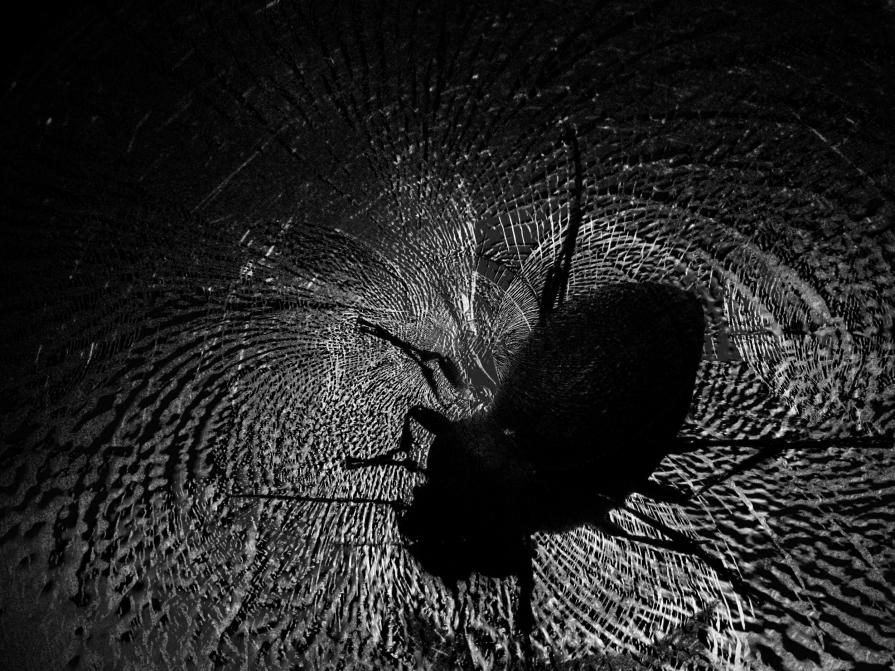 Il dramma di esserci 