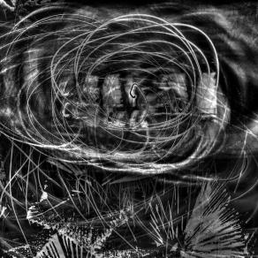 Mai sottovalutare i segnali dei sogni 