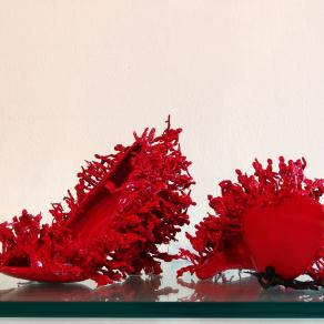 Chi ha paura dell'uomo nero?