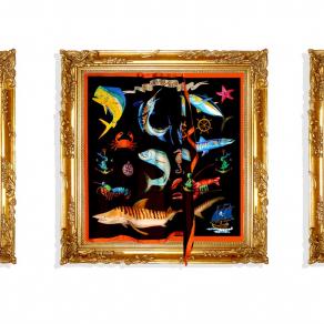 Genius Corallis, Saint sea, Shells