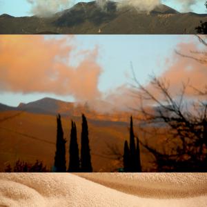 CRICKET (RIP) AND OJAI CRICKET (RIP) AND OJAI