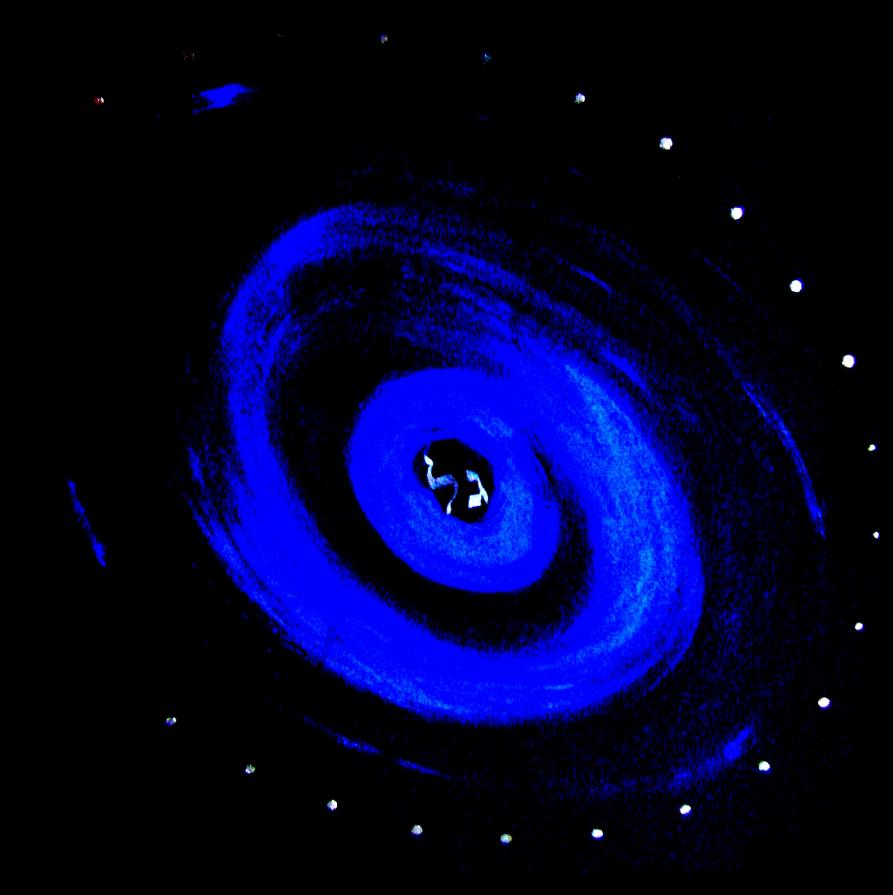 Letizia Ardillo-GAL-