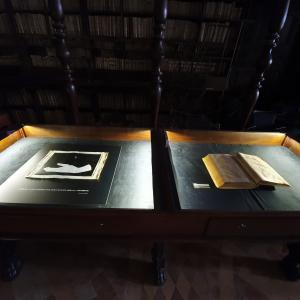 Letizia Ardillo-Mostra Visioni -Biblioteca Vallicelliana- Salone Borromini- Roma