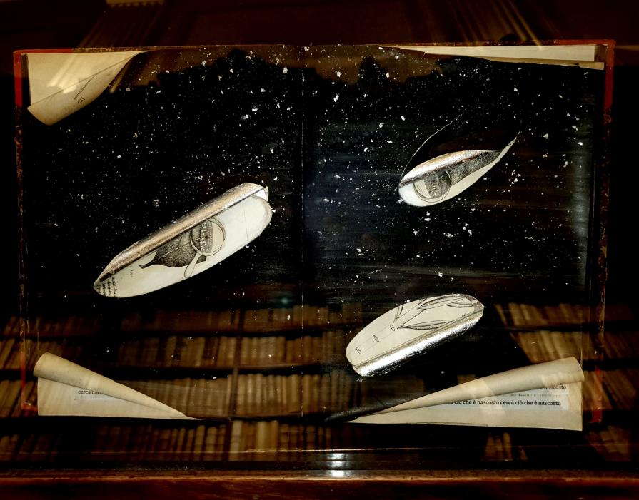 Letizia Ardillo- I 5 libri Letizia Ardillo- I 5 libri