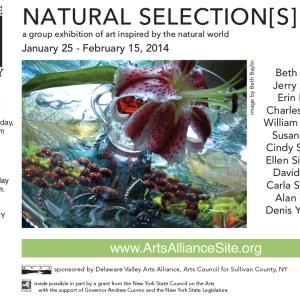 Carla Strozzieri participated in Natural Selection(s) curated art show