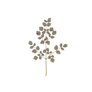 Seeking Moksha Seeking Moksha