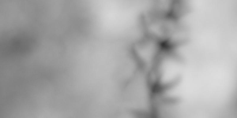 "Vowel" is apart of the exhibition "Another View / Black and White" SerenArte Organization "Vowel" is apart of the exhibition "Another View / Black and White" SerenArte Organization