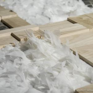 Delicata Mutevolezza - Milena Cavallo, Chiara Dellerba Delicata Mutevolezza - Milena Cavallo, Chiara Dellerba