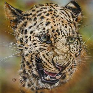 WILDLIFE - IL MONDO DEGLI ANIMALI