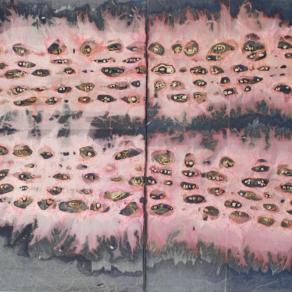 Epidermide pittorica