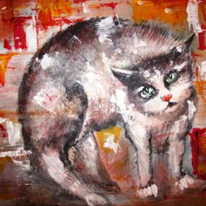 Clementina il mio gatto