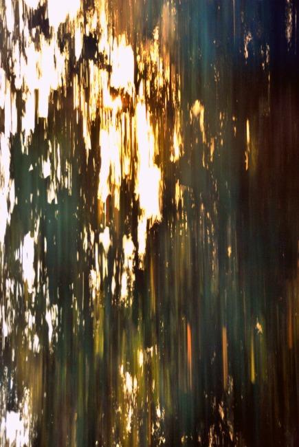 Light and water that move 