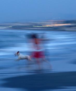 La sera, la spiaggia, il cagnolino.