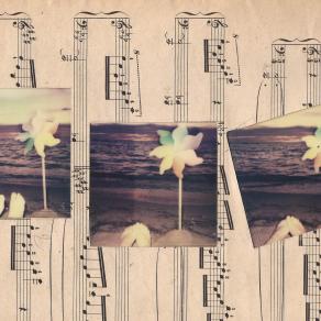 Guarda. Ascolta. Senti...