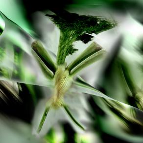 ma secondo voi gli angeli portano le mutande !!! occhio fine fine finocchio.