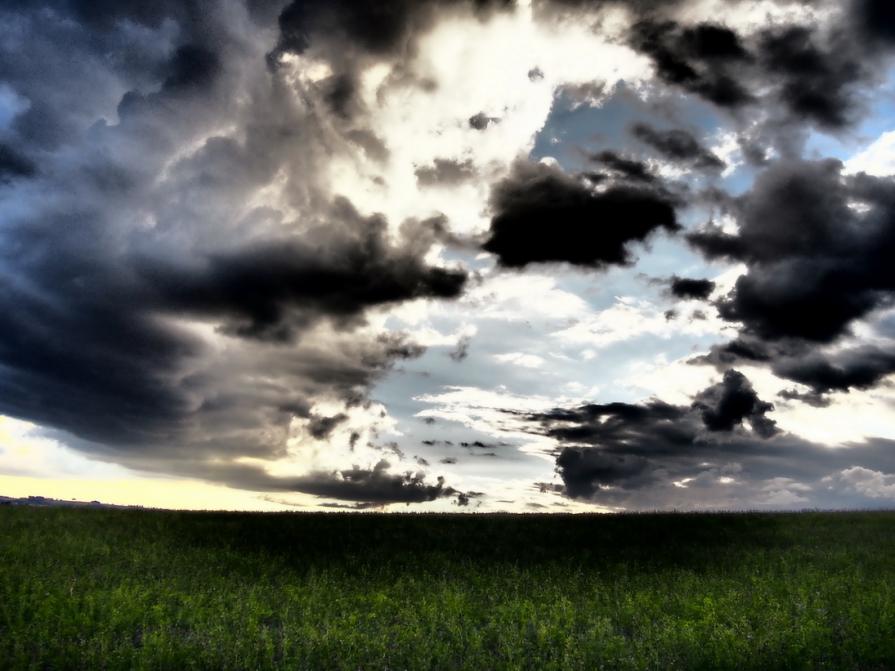 Autumn in the fields 