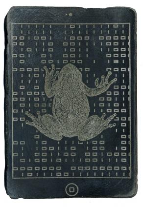 CODEX (frog)