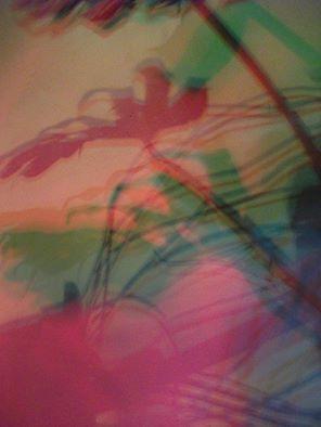 I colori della biodiversità -2015