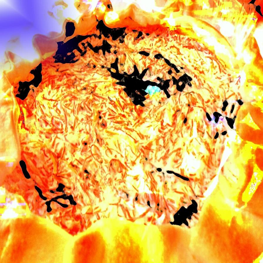 . . . MALEDETTA PRIMAVERA !!! . . . 