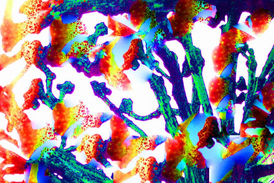 Burnt Stubs Recolored 1