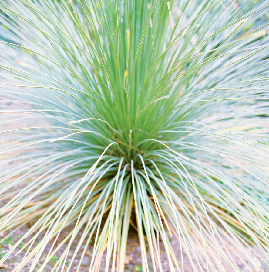 From the series "Des Sons Venus De Nulle Part" From the series "Des Sons Venus De Nulle Part"