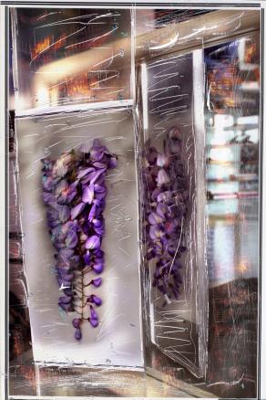 è primavera di fronte e dietro.