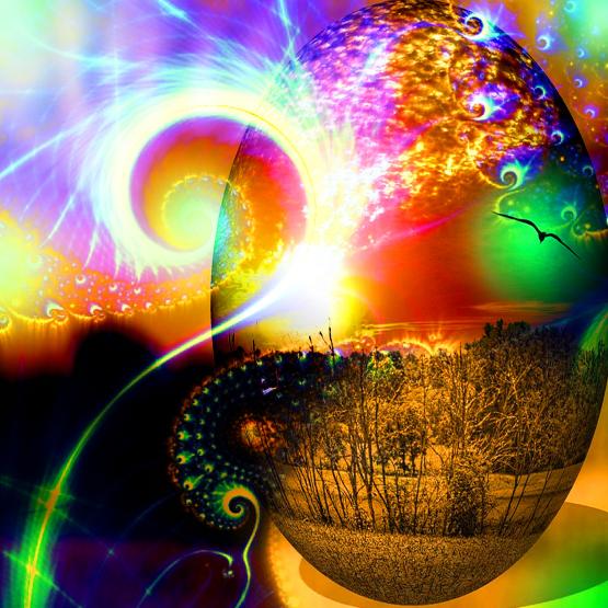 La Serenità Di Un Fiore . . .