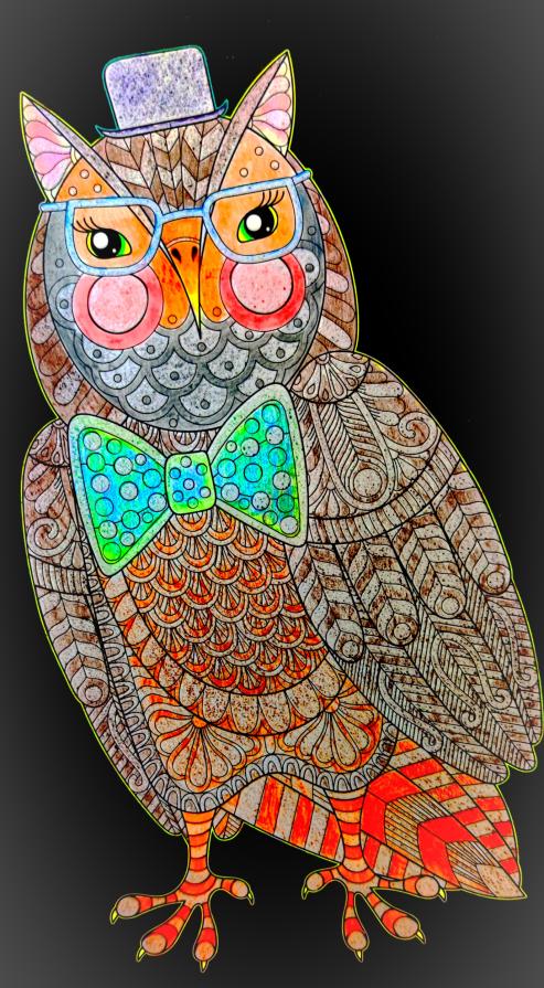 La civetta incanta gli uccelli finché non cadono nei suoi tranelli.