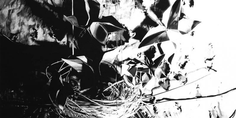 Giuliana Cobalchini Giuliana Cobalchini