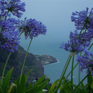 Maristella Angeli terza al concorso fotografico "L'Estate è dentro di te"
