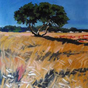 The dream journey of Gino Rocca .. "The Light in her drawer"