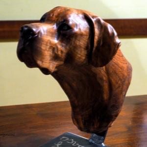 ANIMALS ART al Club La Meridiana di Modena