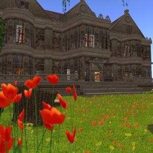 Mostra Personale di Lauro Pedraza