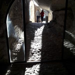  CELESTINO V BETWEEN ART AND EREMITAGE- Edited by Roberto Cumbo and Laura Mocci