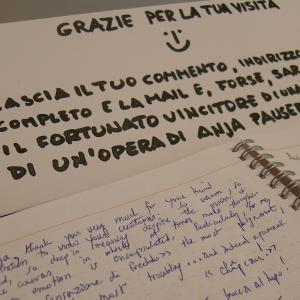 Sabato notte (ore 0.30) di RAI3 presenta Anja Pauseback