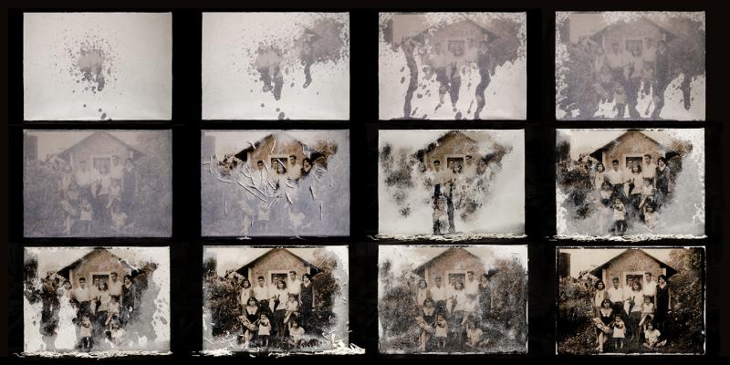 The Dormant Image The Dormant Image