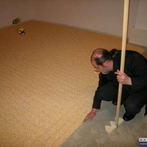 " BIOUNICITA' " di Vito Mazzocchi