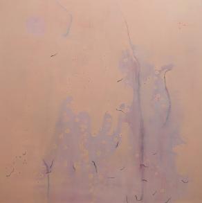 Mapping the human skin