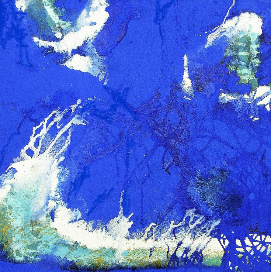 BLUE IDEA - ocean 2009 BLUE IDEA - ocean 2009