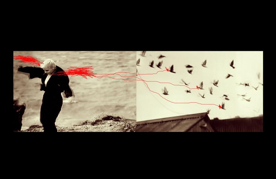 FiliAli con partenze FiliAli con partenze