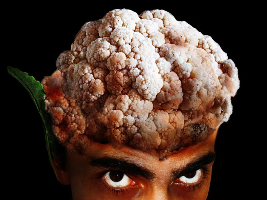 V.I. (Vegetable Intelligence)