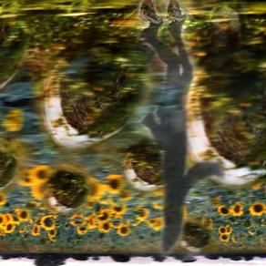 ore 12,30 che fatica ,correndo vedo la mia ombra riflessa.